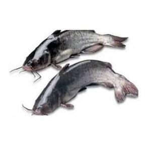 MACHOIRON FRAIS 1KG