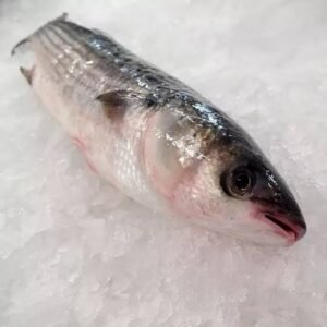 MULET FRAIS 1KG