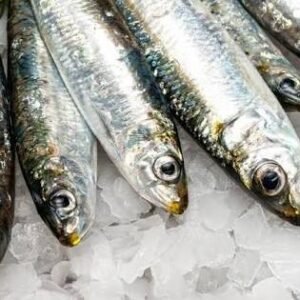 SARDINES FRAICHES 1KG