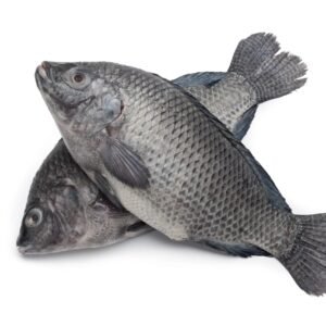 CARPES GRISES FRAICHES 1KG